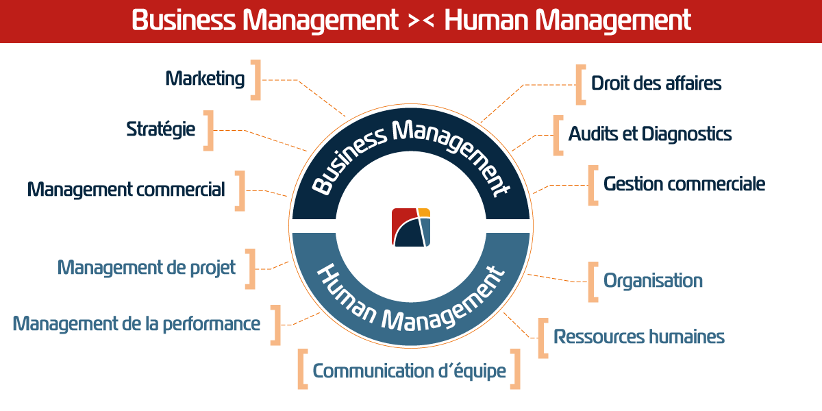 BUCEFAL-Consulting-Formation-management-business-human